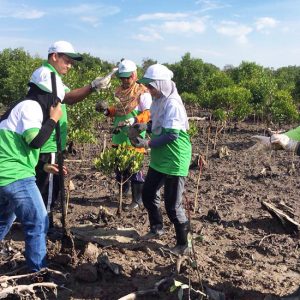 Mangrove Planting At Pulau Indah Industrial Park 3A